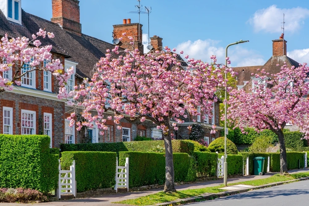 A street in Hampstead Garden Suburb, London