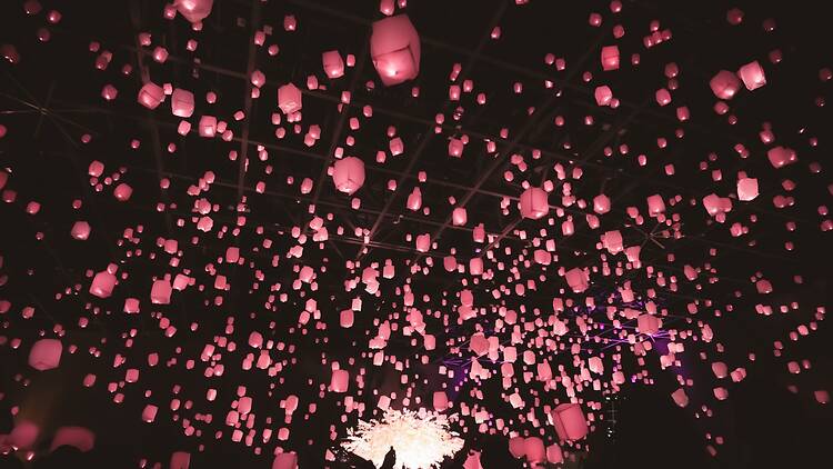 Hanami Toya 2026 Hanami Toya 2026