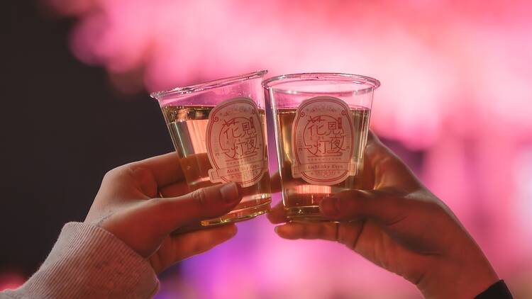 Hanami Toya 2026 Hanami Toya 2026