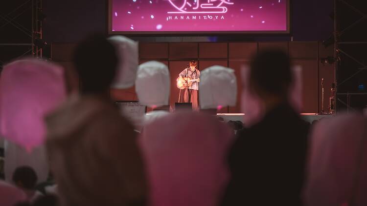 Hanami Toya 2026 Hanami Toya 2026