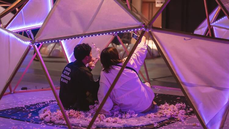 Hanami Toya 2026 Hanami Toya 2026