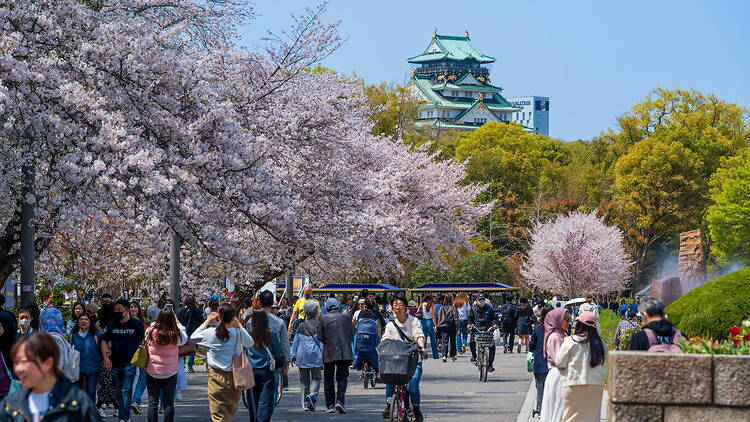 Osaka Castle Spring Festival
