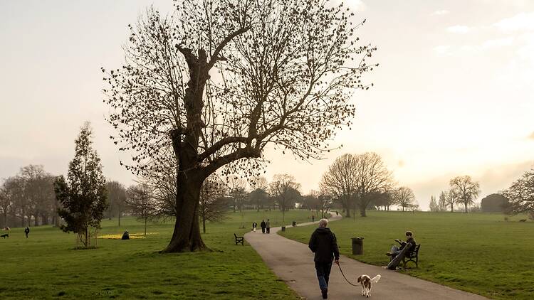 A man and his dog walking down a path in Brockwell Park on a spring morning