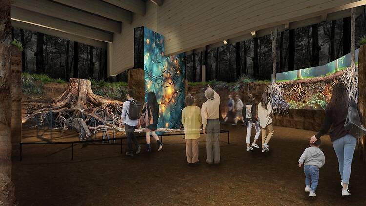 テーマ館や政府出展で植物と日本の自然観に触れる。