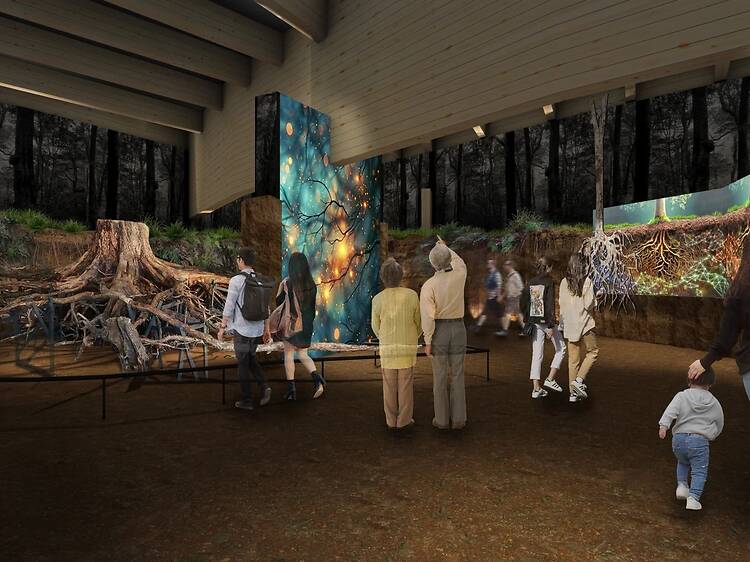 テーマ館や政府出展で植物と日本の自然観に触れる。