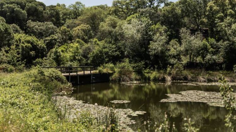 Dia aberto no LxCRAS