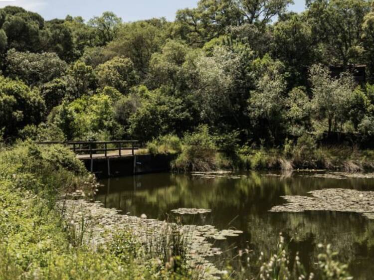 Dia aberto no LxCRAS