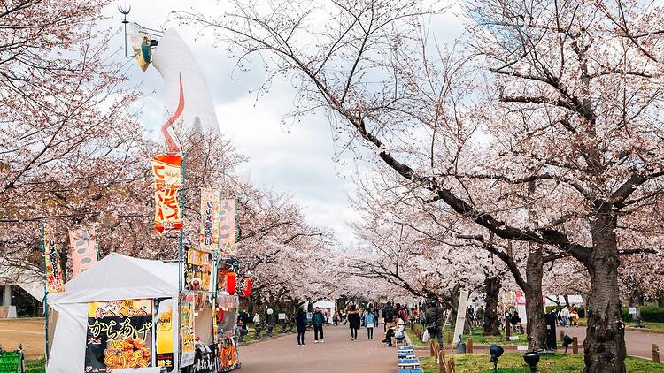 Sakura Expo 2026 at Expo '70 Commemorative Park