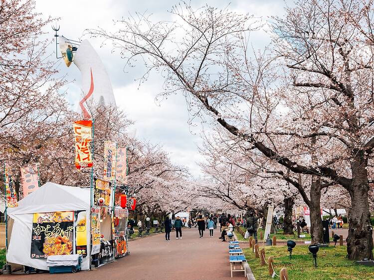 Sakura Expo 2026 at Expo '70 Commemorative Park