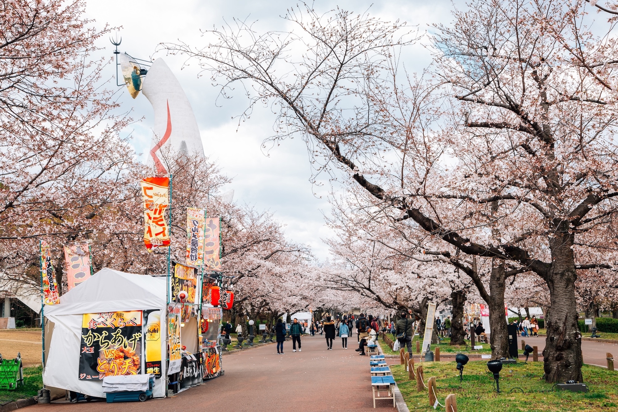Sakura Expo 2026 at Expo '70 Commemorative Park | Things to do in