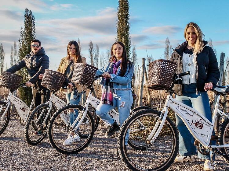 Wine and Ride: la ruta del vino sobre dos ruedas