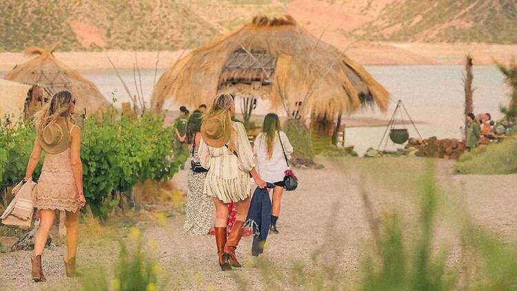 Sunsets entre viñedos y montañas