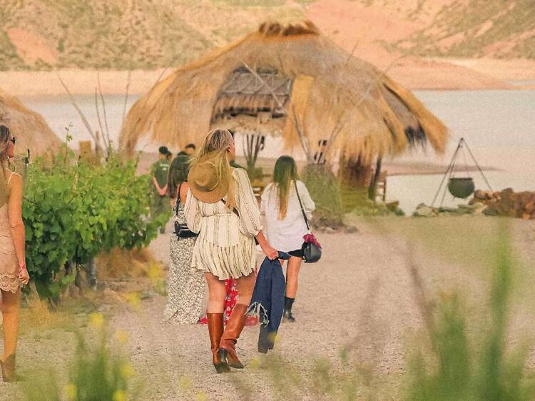 Sunsets entre viñedos y montañas