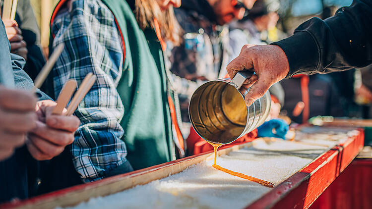 50 best things to do in Montreal for locals and tourists