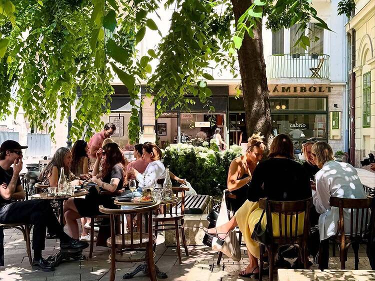 The best wine bars in Budapest