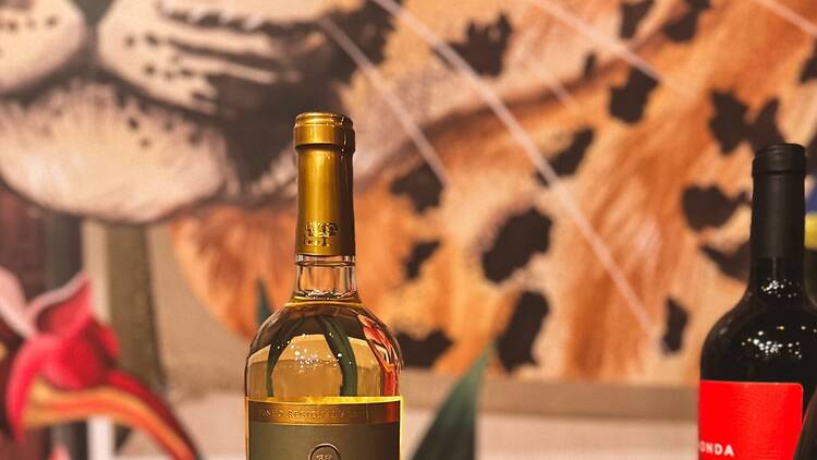 Gepárd és Űrhajó Borbár