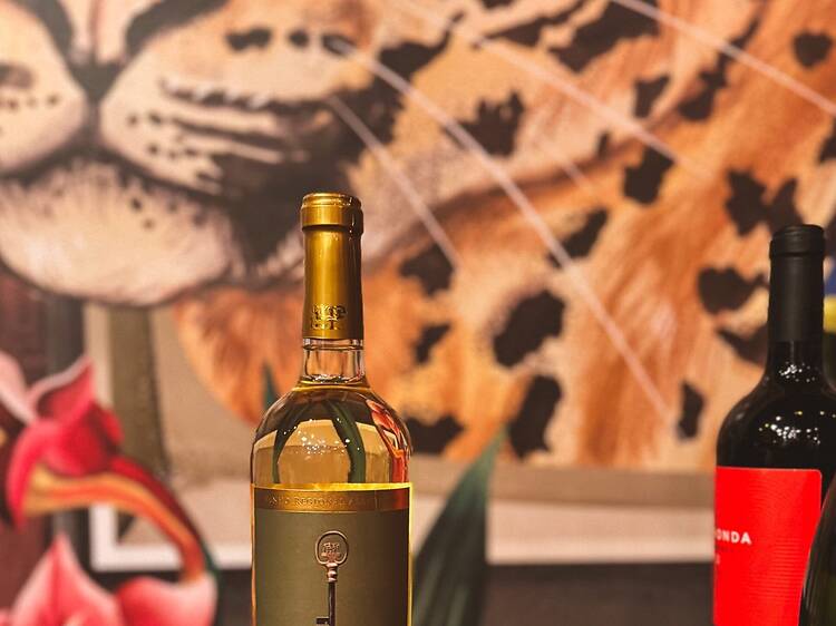 Gepárd és Űrhajó Borbár