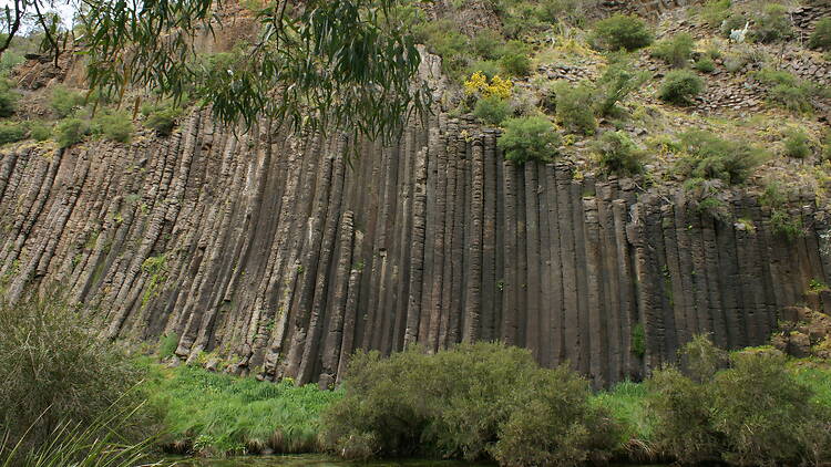 Organ Pipes National Park Organ Pipes National Park
