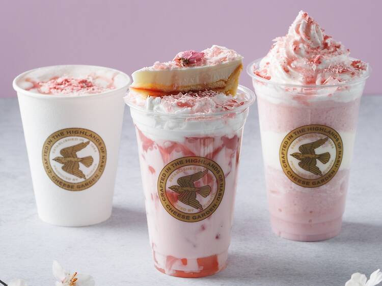 Cheese Garden sakura drinks