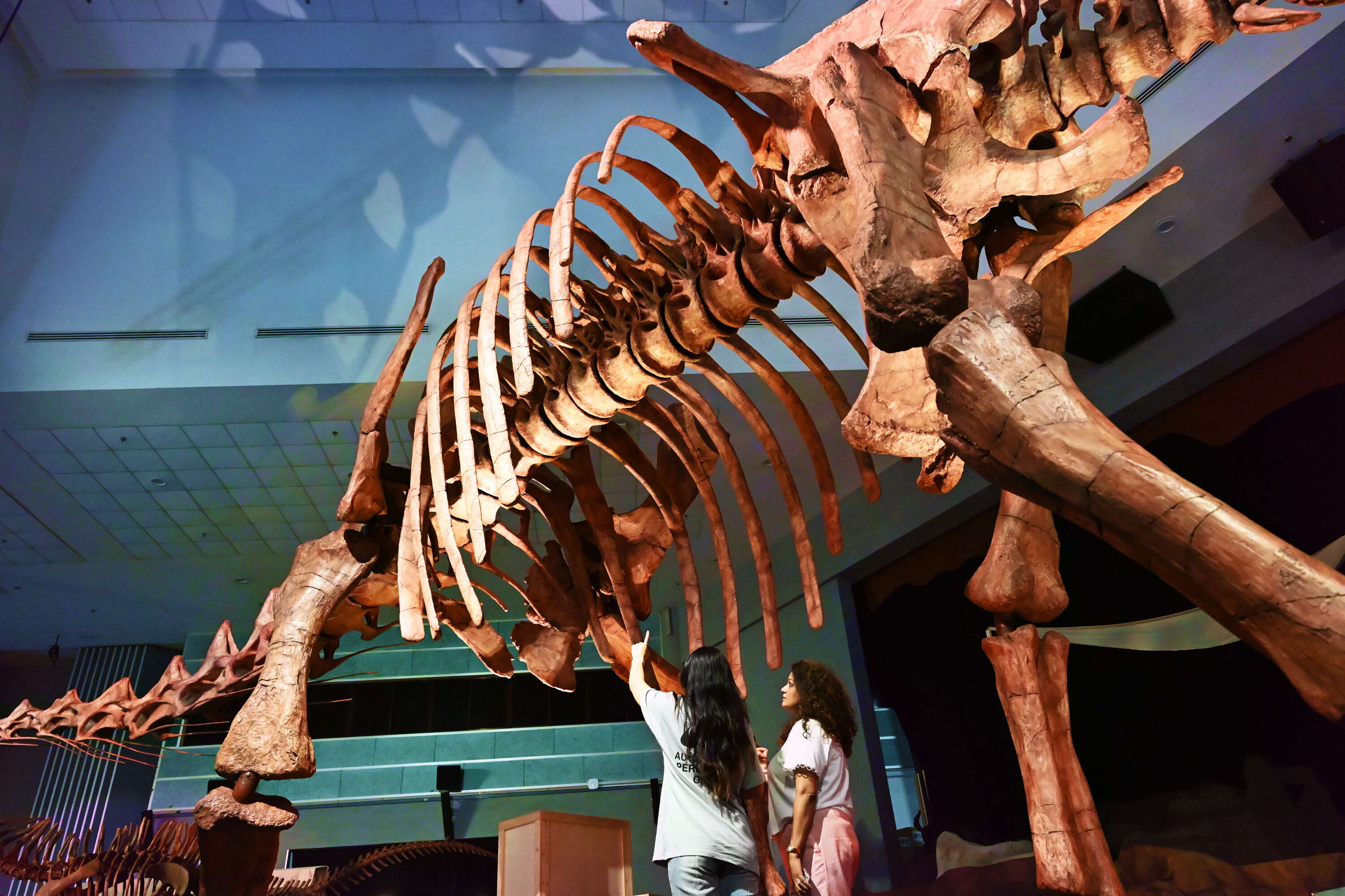 Singapore’s most unexpected party is happening under dinosaurs – last chance to get advance tickets