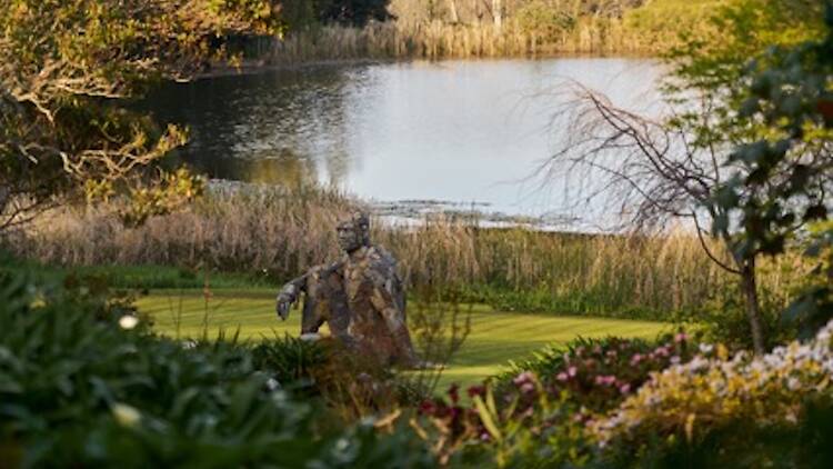 Rare Plant Fair & Autumn Open Garden