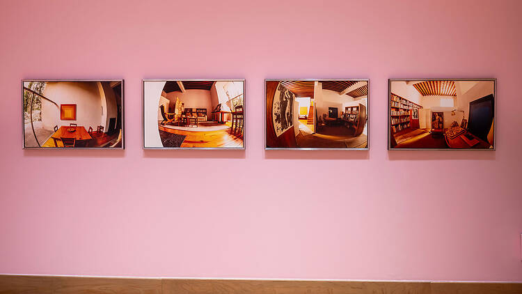 Adorado Barragán, de Lake Verea (Casa de México). Adorado Barragán, de Lake Verea (Casa de México).