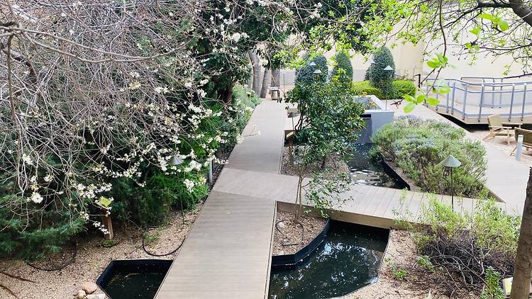 Un acogedor jardín botánico se esconde en este museo gratuito del centro de Madrid: un oasis para desconectar en mitad del paraíso del terraceo