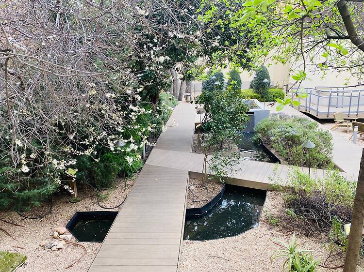 Un acogedor jardín botánico se esconde en este museo gratuito del centro de Madrid: un oasis para desconectar en mitad del paraíso del terraceo