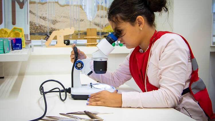 Pavilhão do Conhecimento