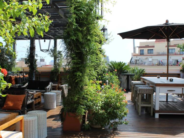 The Pulitzer Terrace at Hotel Pulitzer