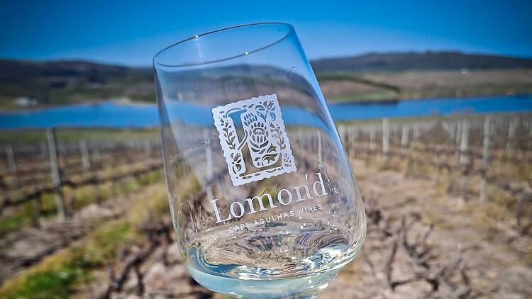 Agulhas Wine Triangle Harvest Festival