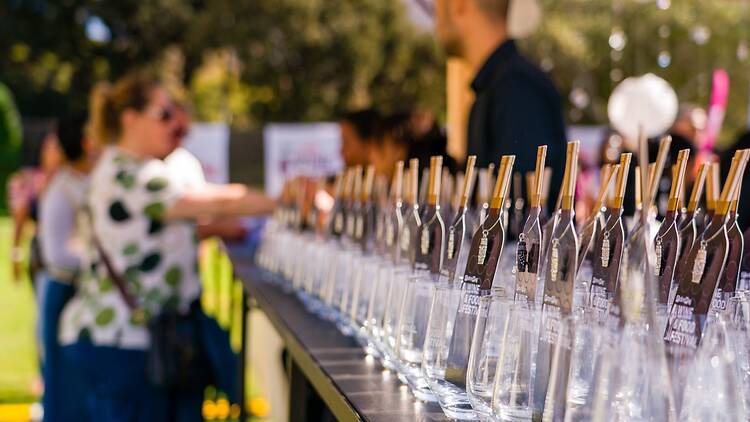 Pick n Pay Wine & Food Festival