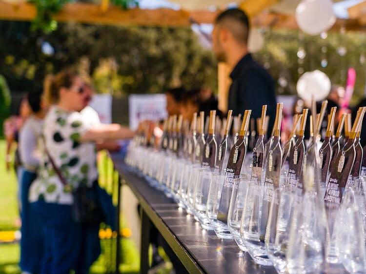 Pick n Pay Wine & Food Festival