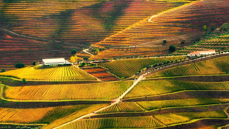 Douro Valley, Portugal Douro Valley, Portugal