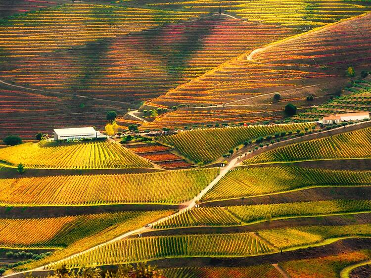 The 51 most beautiful places in the world