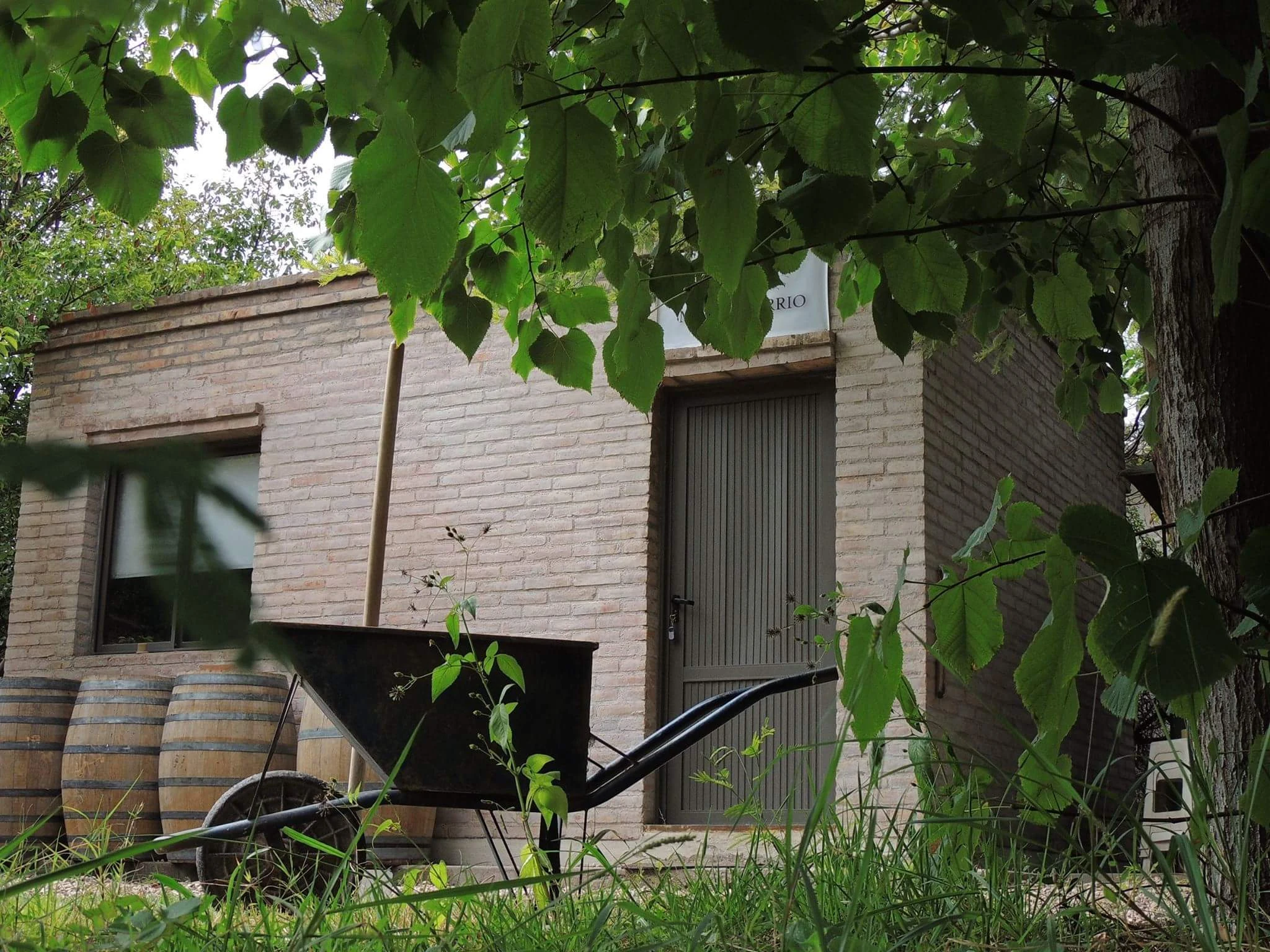 bodega-bons&aacute;i-moor-barrio