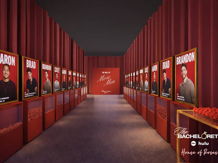 The Bachelorette: House of Roses