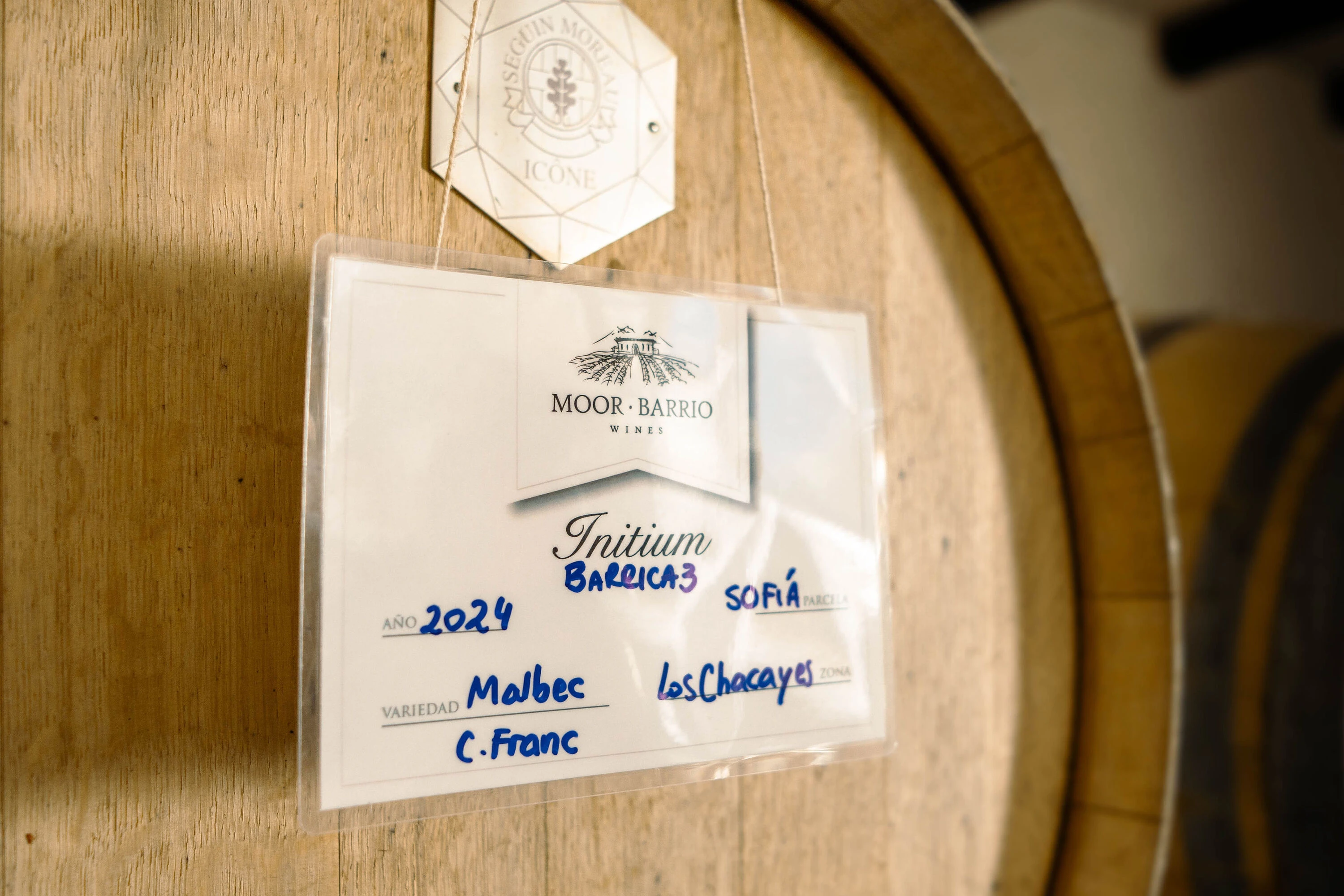 bodega-bons&aacute;i-moor-barrio