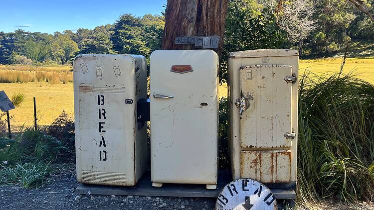 Visit the famous Bruny Island Bread Fridge