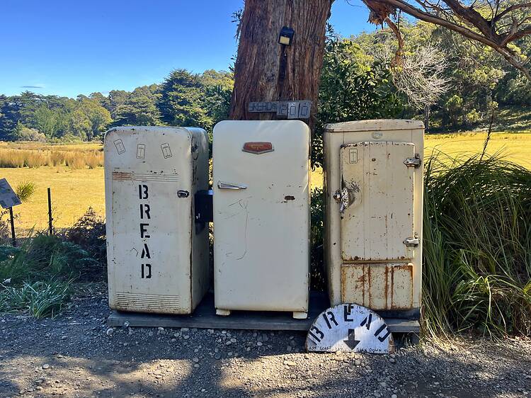 Visit the famous Bruny Island Bread Fridge
