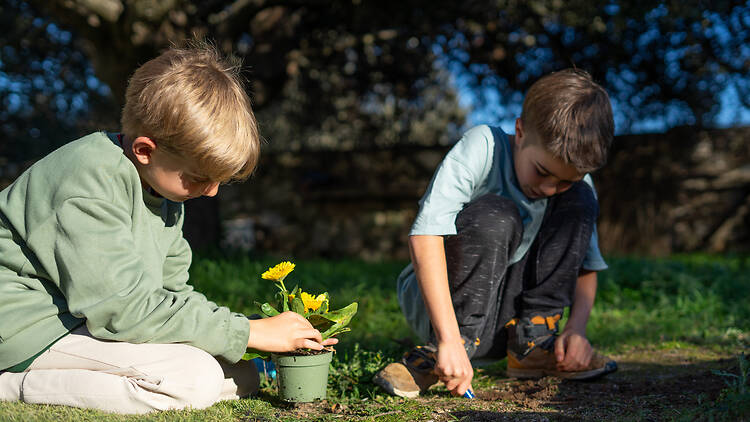 Children learning gardening outdoors planting flowers together 