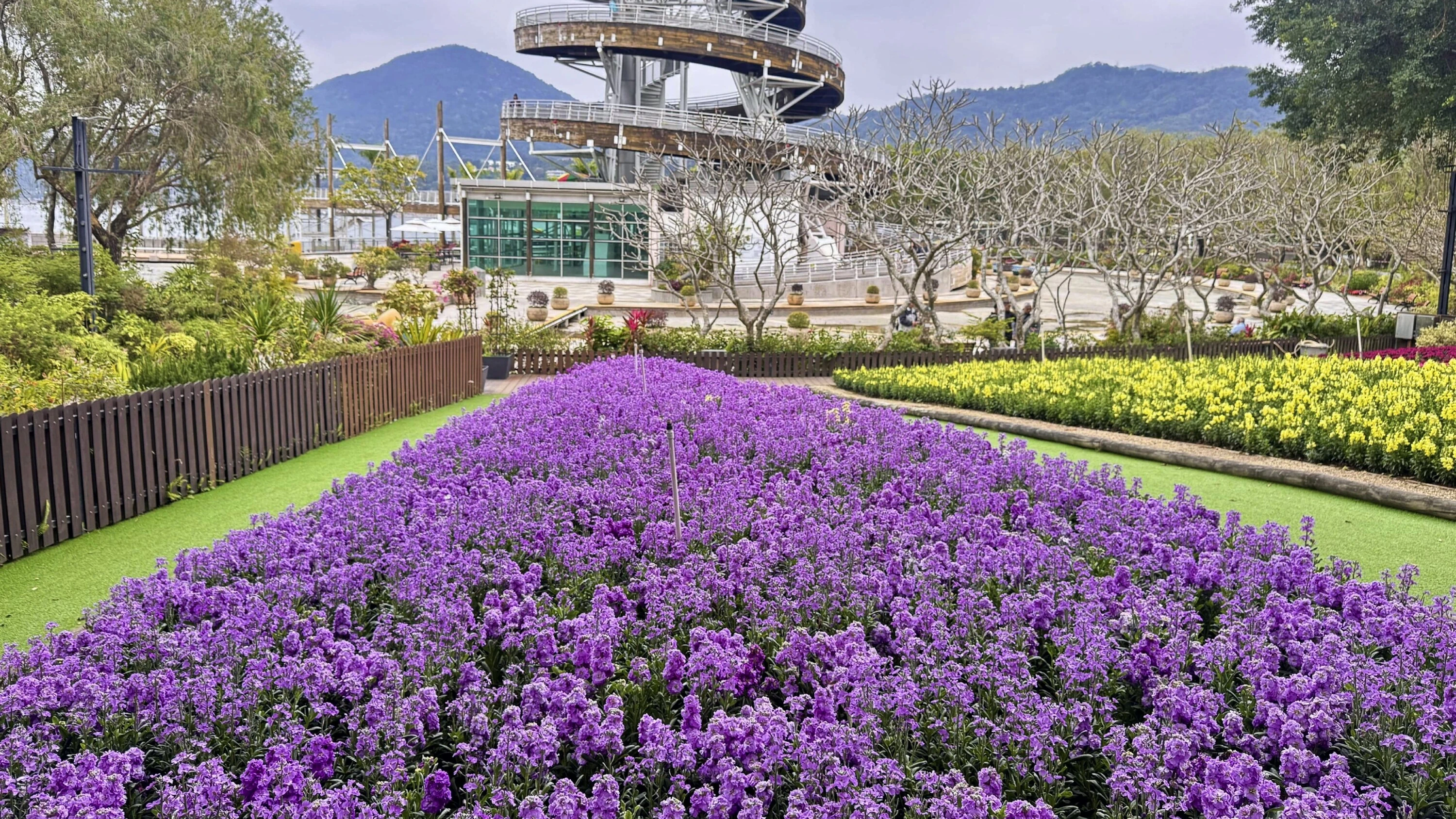 Hong Kong Flower Show