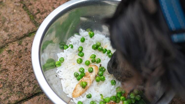 Piggly Wiggly Restaurant