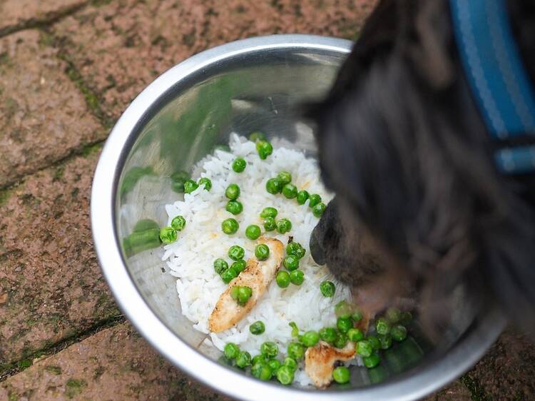 Piggly Wiggly Restaurant