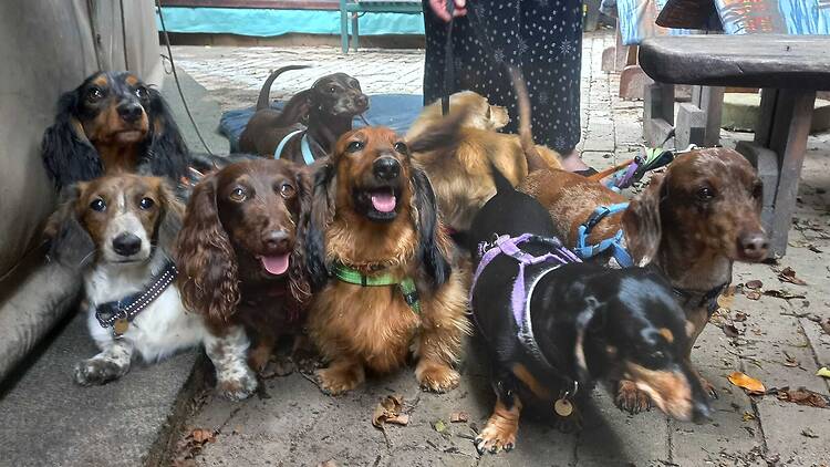 The Doghouse & Craft Café