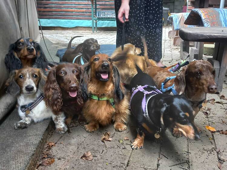 The Doghouse & Craft Café