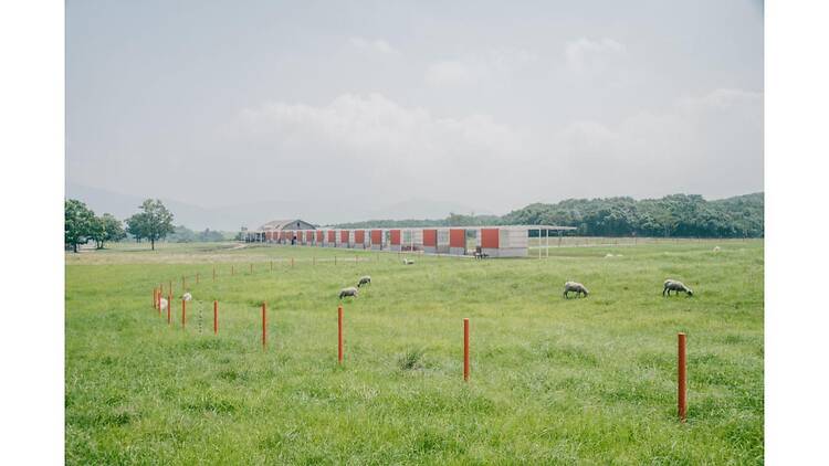 山田紗子展 parallel tunes 山田紗子展 parallel tunes