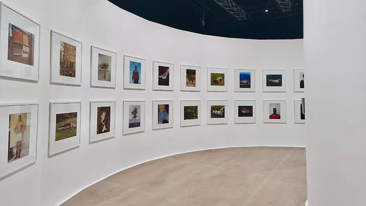 Coco Capitán ArtisTree Selects: Imagination Investments