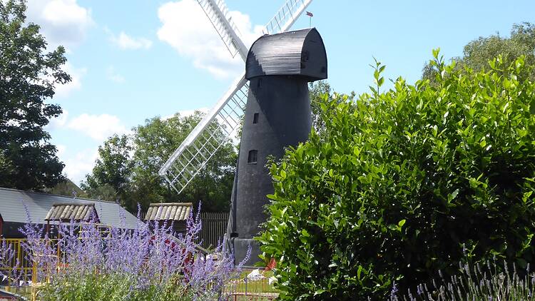 Brixton Windmill viewed from the Windmill Herb Garden