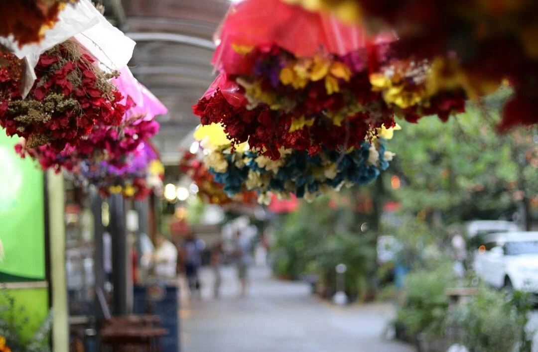 Cobal Humait&aacute;